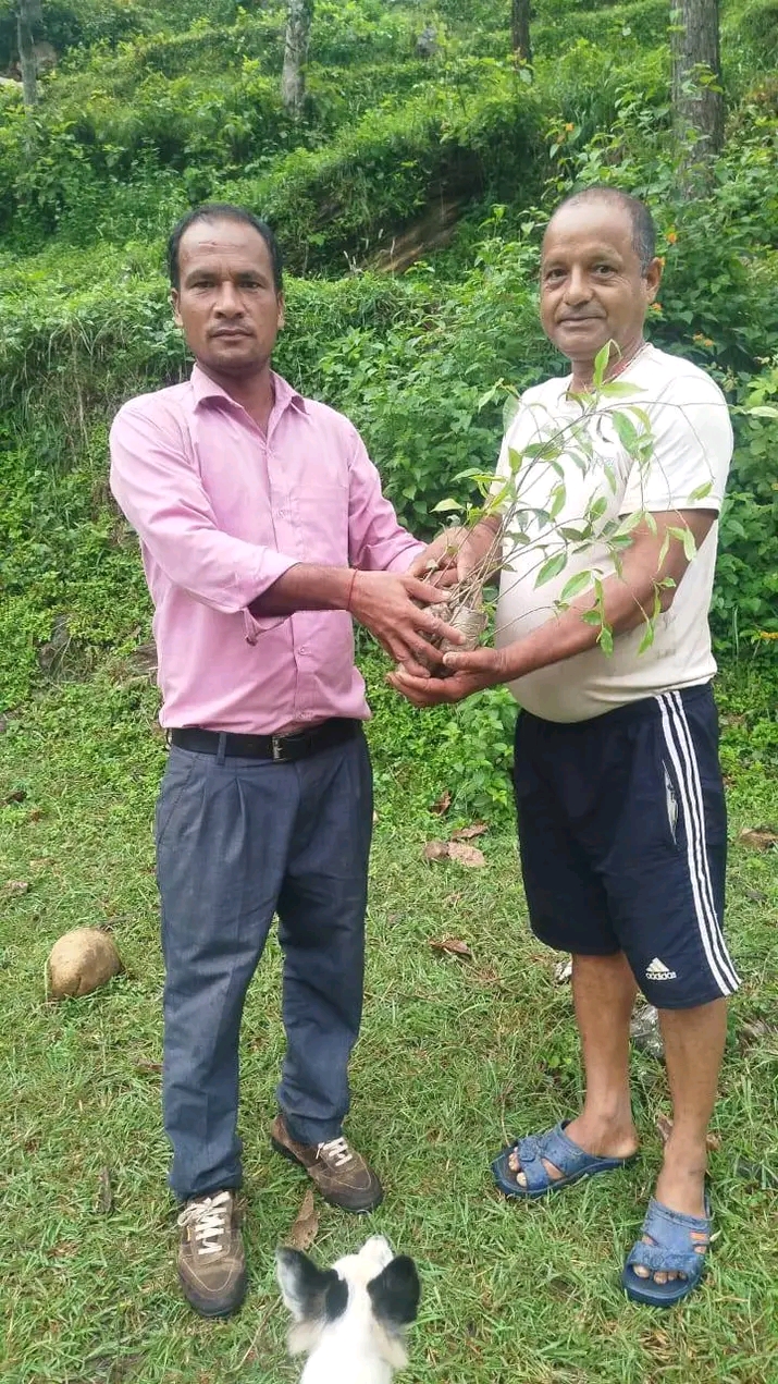 Agarwood Plantation Program image